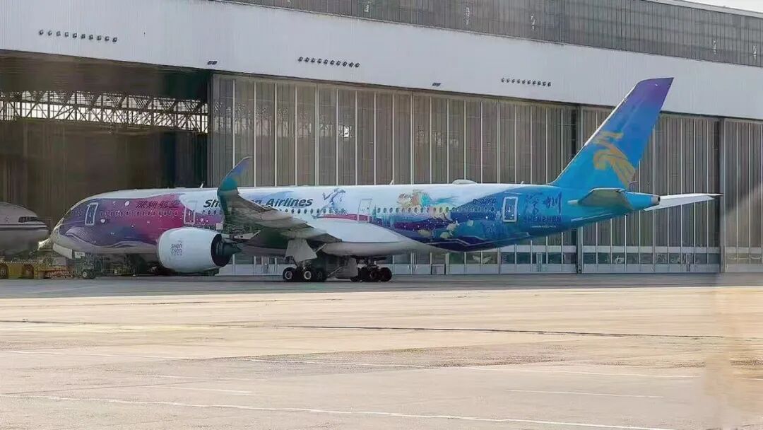 深圳航空“明星机”重新上岗，损失不少图1