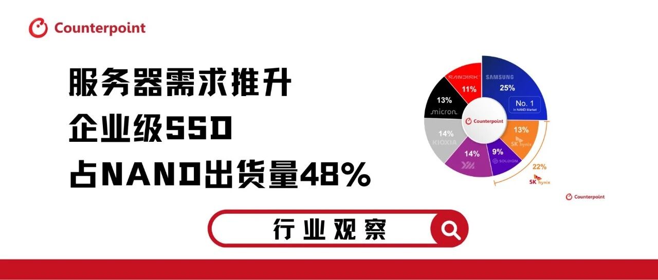 服务器需求推升企业级 SSD 占 NAND 出货量 48%