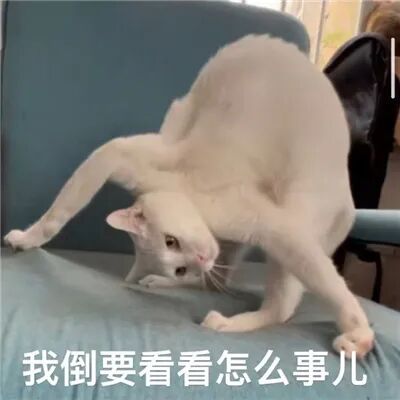 后背发凉!一款可以偷拍的 “ 特殊手机壳 ” 卖疯了?图4