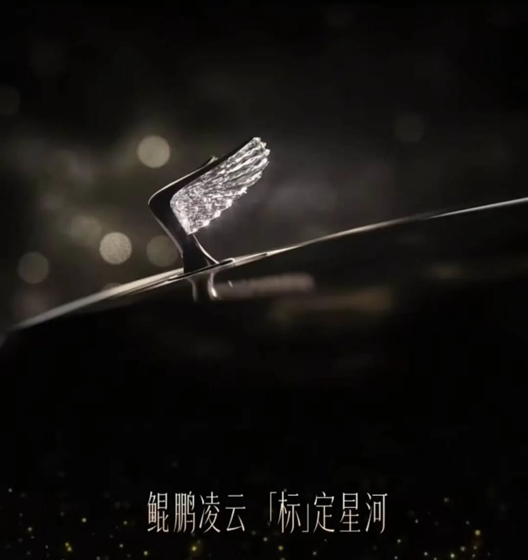 小米搞了个升降车标，给网友看呆了图8