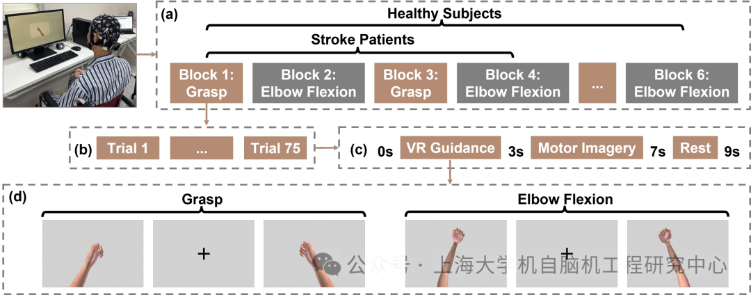 上海大学杨邦华教授团队:一种自适应频率感知Transformer网络用于运动想象解码图6