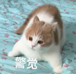 李飞飞最新访谈：AI咋能代替人呢？图21