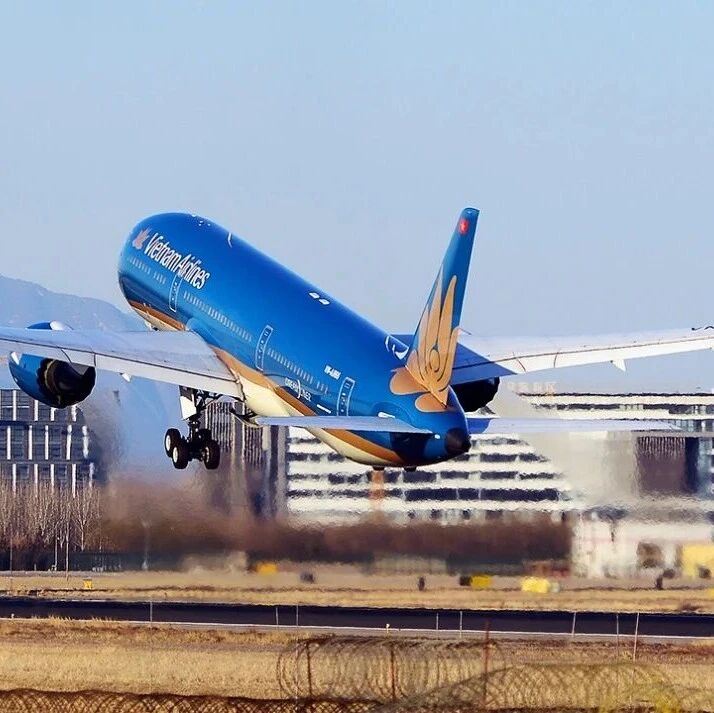 越南航空遭遇“三十年以来最大险情”