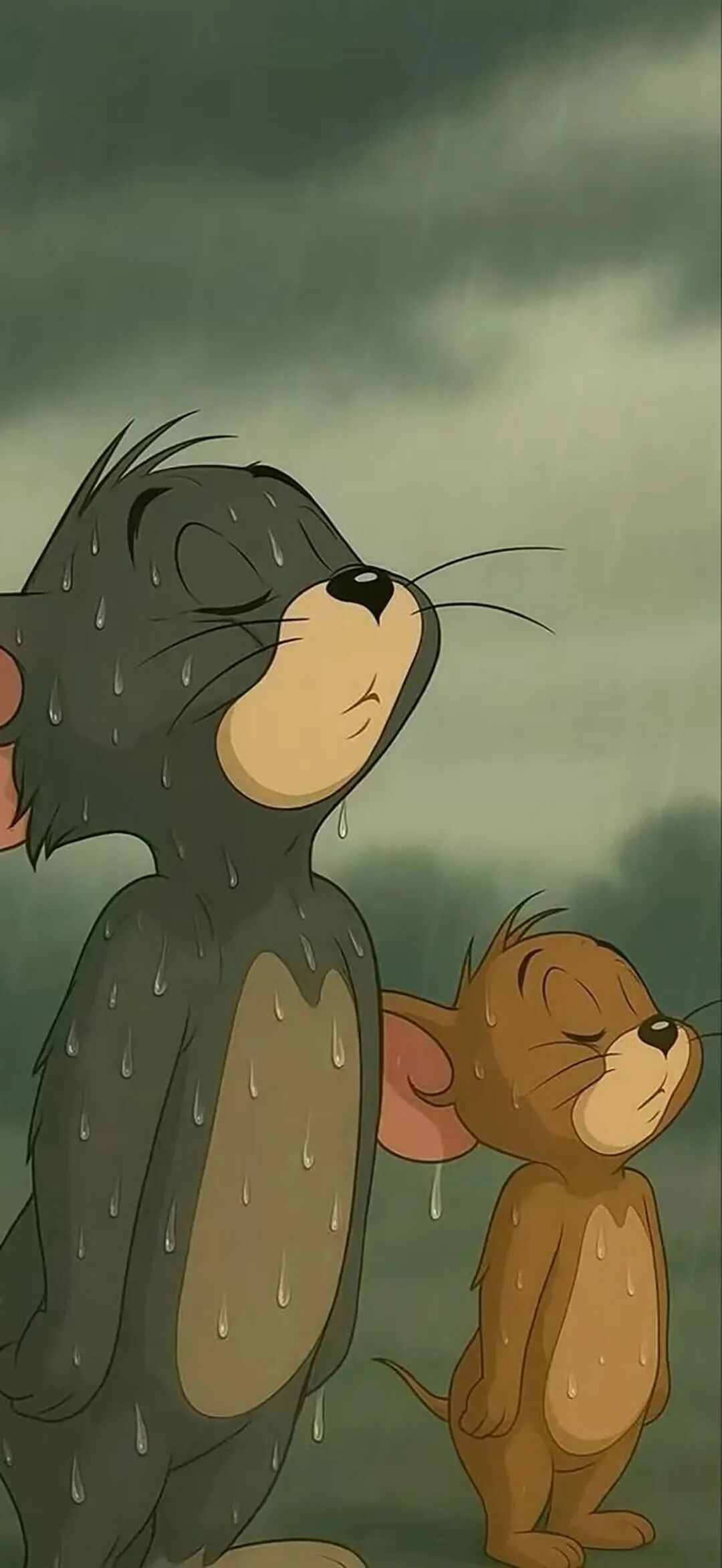 壁纸｜猫和老鼠图10