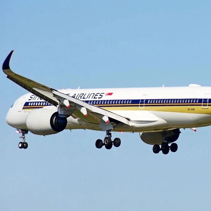 民航业罕见遭遇：新加坡航空亏损！