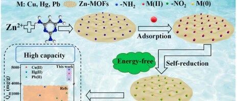 Sens Actuat B Chem: 无能耗自还原富氨基Zn-MOFs 用于水体多种重金属同步吸附去除与电化学检测