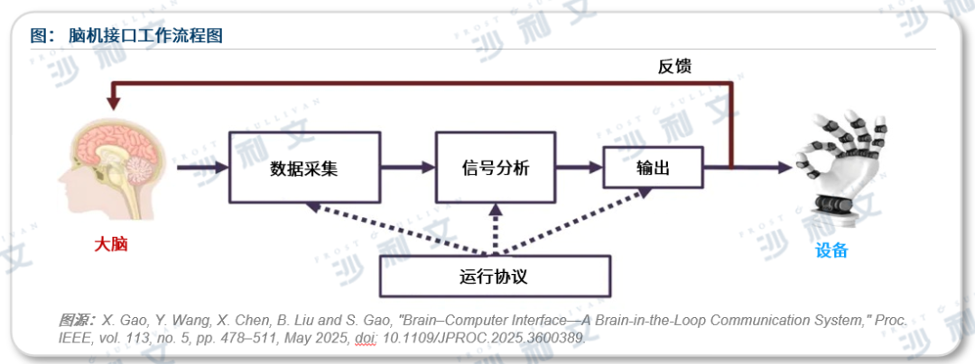 GIL 2026 | 沙利文联合脑机新声发布《全球脑机接口产业发展白皮书(2026)》图5