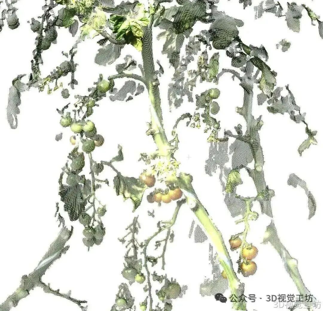 苏州三迪斯维高精度3D结构光相机!支持机械臂抓取、视觉测量、焊接和户外场景!图116