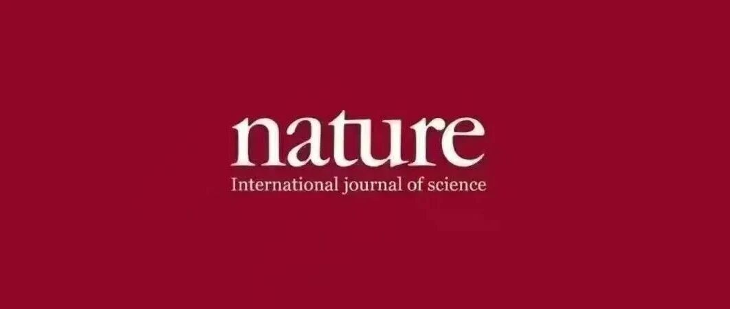 轰动全球！天才博士独自发Nature，柔性传感器一战封神！里程碑式突破！