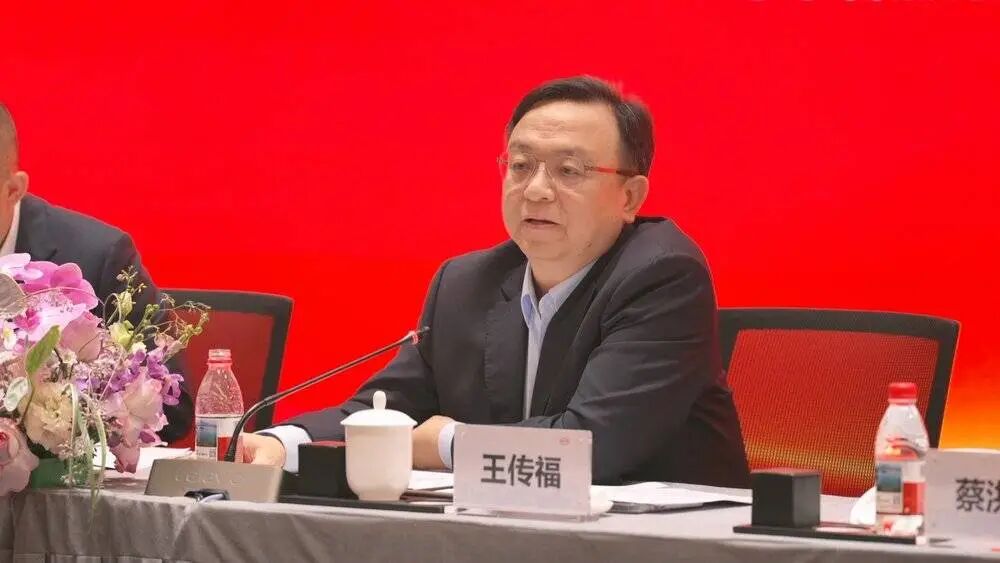比亚迪放权、吉利收权：都在为多品牌内耗买单？图10