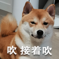 小米刚发布这旗舰新品,又把苹果超了啊!图4