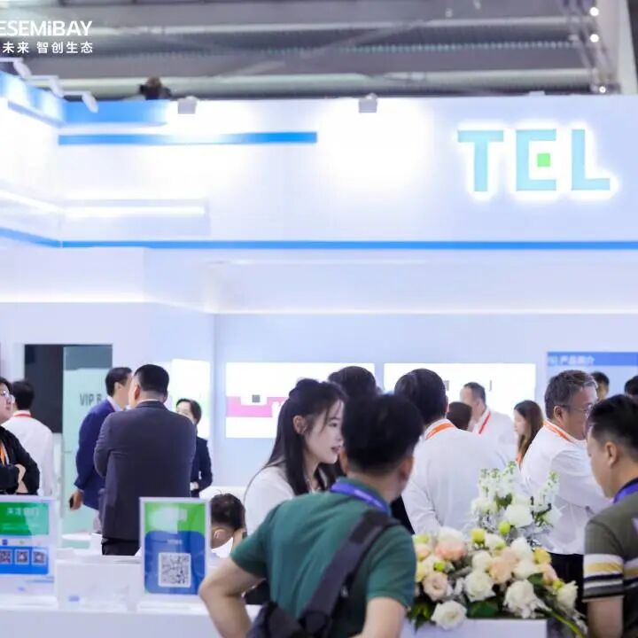 全球TOP 30企业集结深圳，2026湾芯展10月启幕——四大看点筑就中国集成电路自主品牌标杆展图6