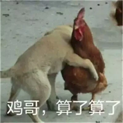 买了三台“大疆平替”,最贵的那台反而最让我破防。。。图12
