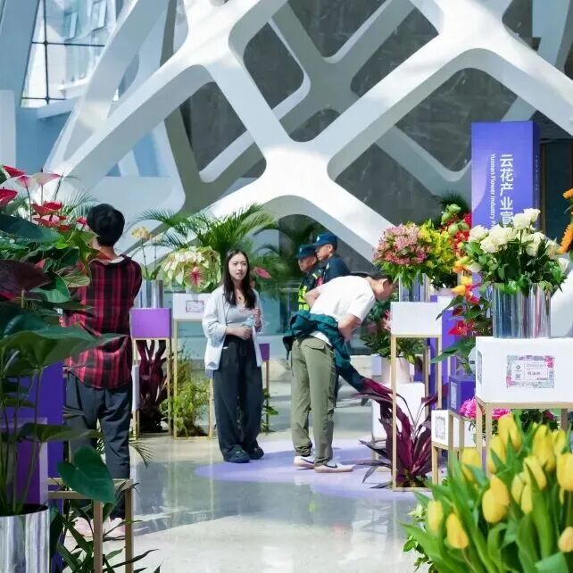 【免费领票倒计时4天】2026昆明花展预登记通道即将关闭,错过后悔一整年!图8