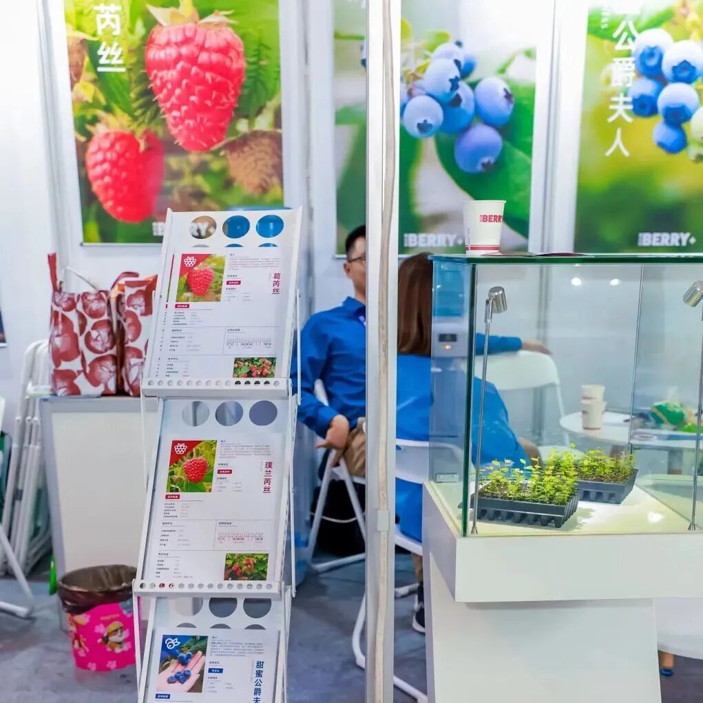 【免费领票倒计时4天】2026昆明花展预登记通道即将关闭,错过后悔一整年!图30
