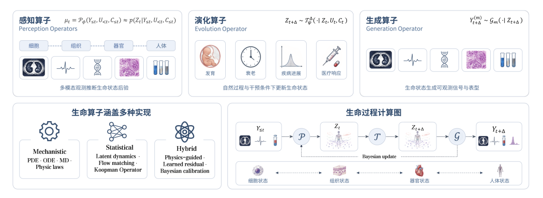 AIVC只是前菜！复旦提出生命算子，统一生命建模图3