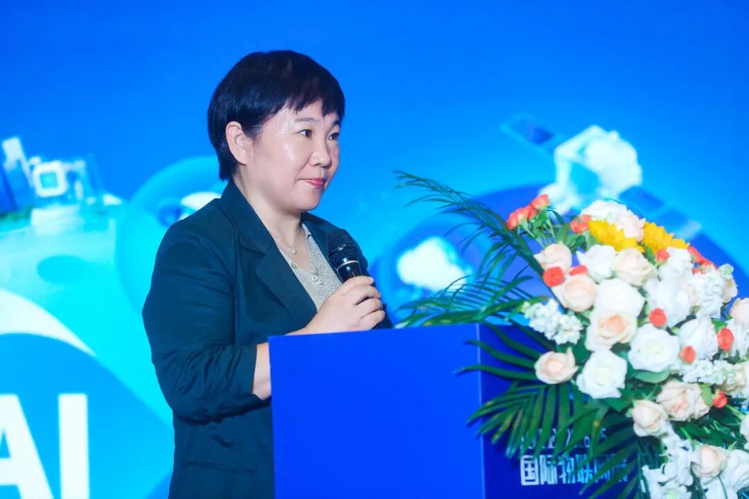 智能为媒,全球共赢!2026世界人工智能与物联网创新合作对接会圆满收官!图2