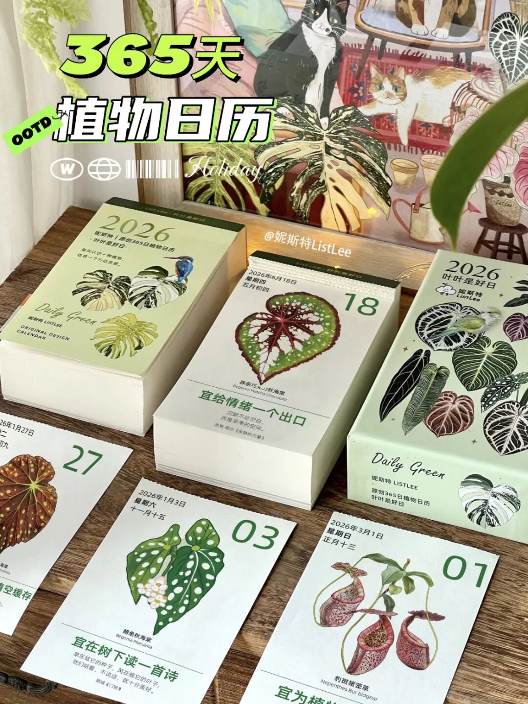 9.18-20昆明｜不只是热植，更是自然美学现场——精品蕨类、艺术造景、原创设计集中登场图20
