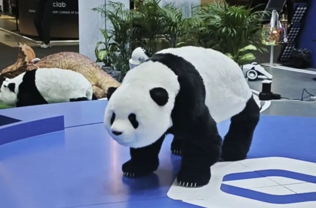 暴走5万步!IFA 2026一手情报:超1000家中国厂商创历史,物理AI狠戳老外兴奋点图29