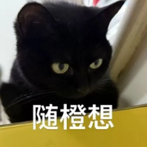 现场围观金融AI决赛，大厂挑人的逻辑我悟了图1