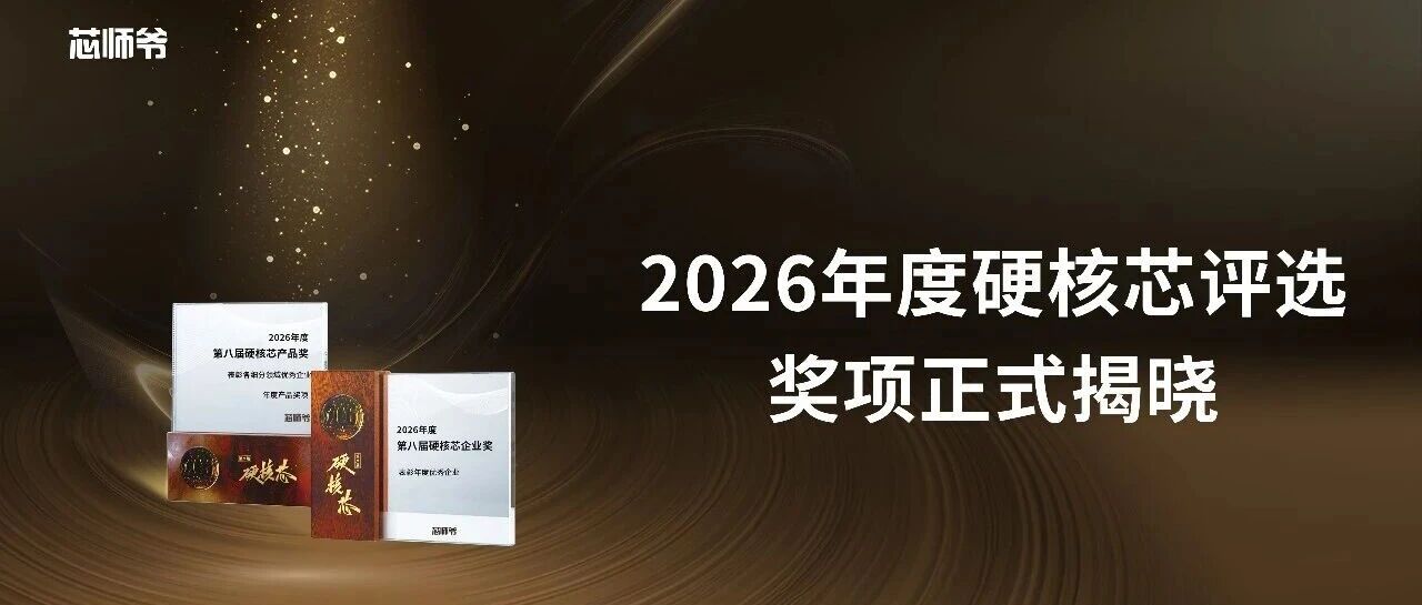 芯光璀璨 | 第八届硬核芯年度评选获奖榜单出炉！