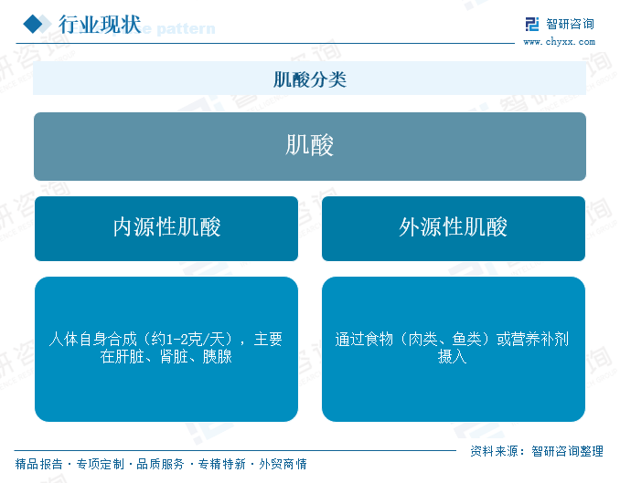 2026年中国肌酸产业链、市场规模及发展趋势预测：产能全球领跑，创新驱动从"原料大国"迈向"价值强国"[图]图3