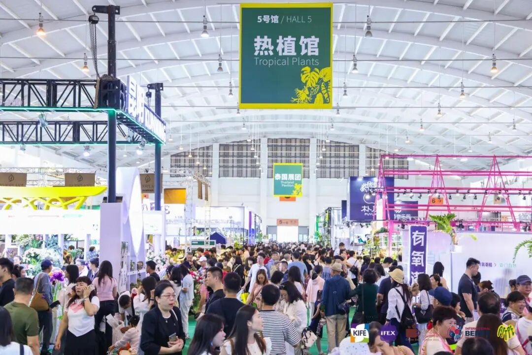 9.18‑20昆明丨2026云南茶博会,全场亮点一网打尽,超全逛展攻略get图41