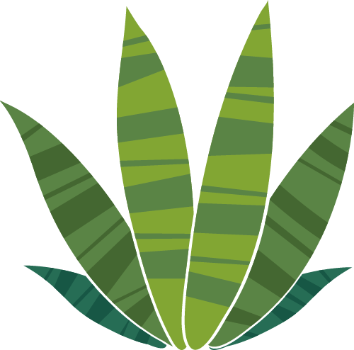 9月18-20日，昆明赴花约｜2026昆明花展五展联动，亮点一次看全，逛展攻略一篇就够！图29