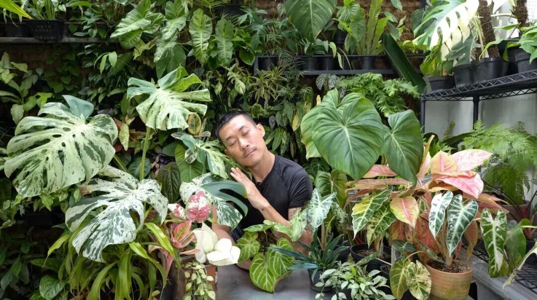 9月18-20日，昆明赴花约｜2026昆明花展五展联动，亮点一次看全，逛展攻略一篇就够！图33