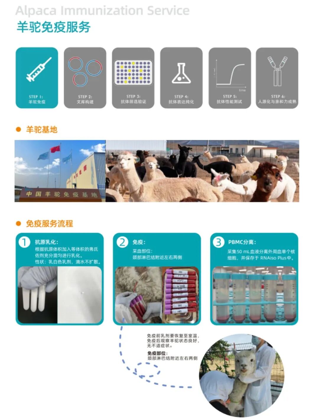 高交会生化展专访康体生命｜从一只羊驼出发，把纳米抗体做到产业里图5
