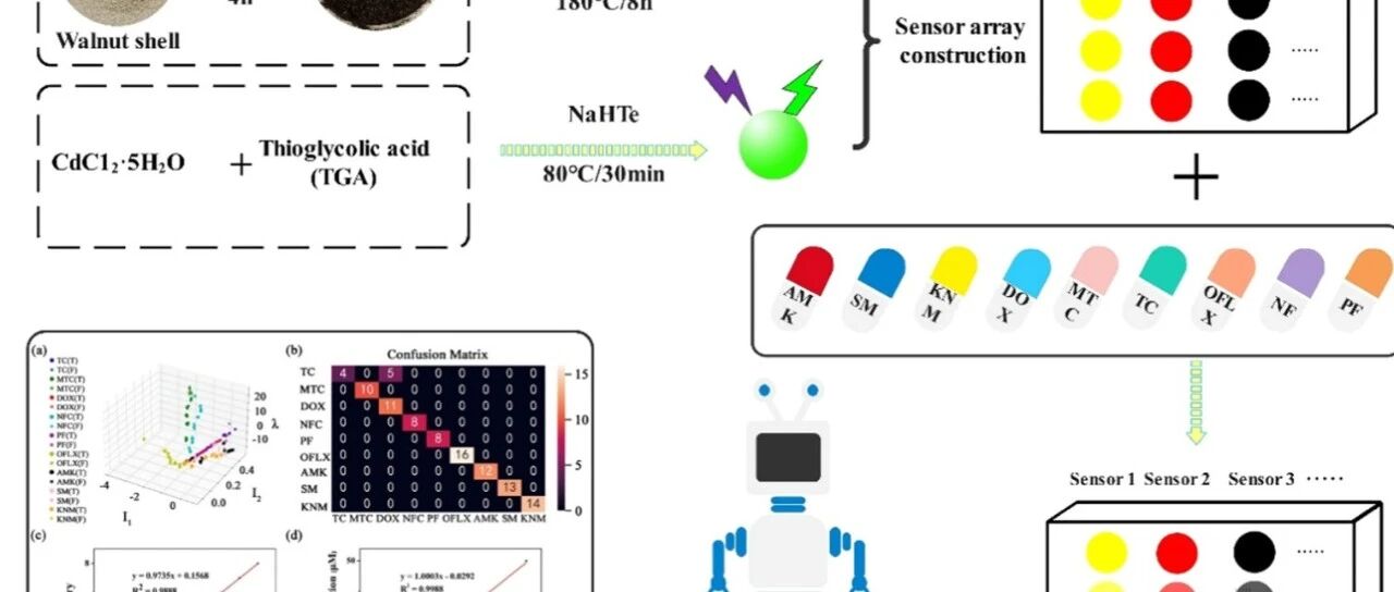 Sens Actuators B Chem：逐步预测策略下机器学习辅助双发射荧光-比色传感机器学习辅助的双发射荧光/比色传感器阵列检测多种抗生素