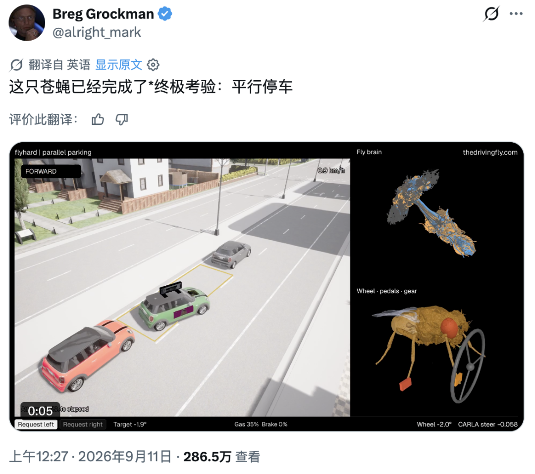 别笑，你的游戏水平真不如一只数字果蝇图11