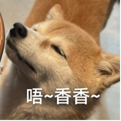 炸翻全场！比亚迪刚发布这 900km 纯电新车，价格配置根本没对手！图25