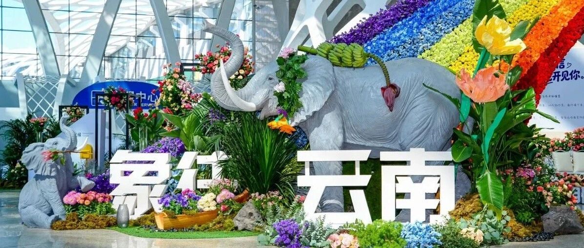 春城花事，今日启幕！昆明花展攻略来啦：日程、交通、吃住全都有，9.18-20逛展不迷路→