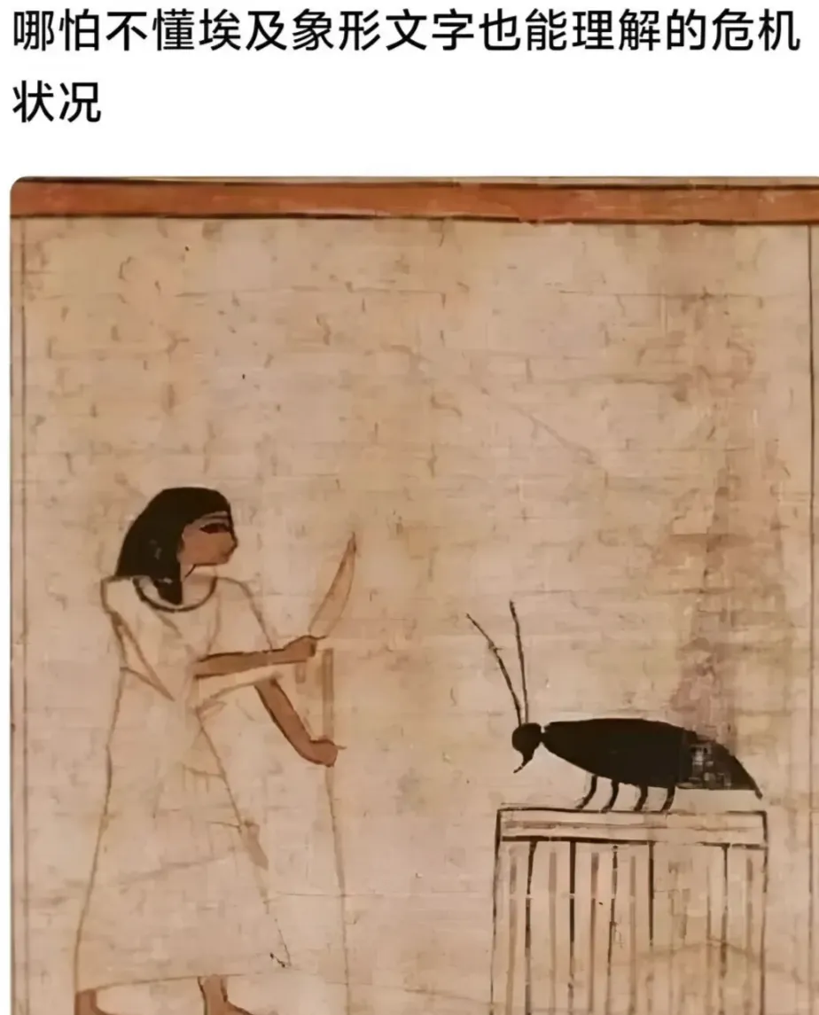 蟑螂奶拿奖了，真有人喝吗？图21