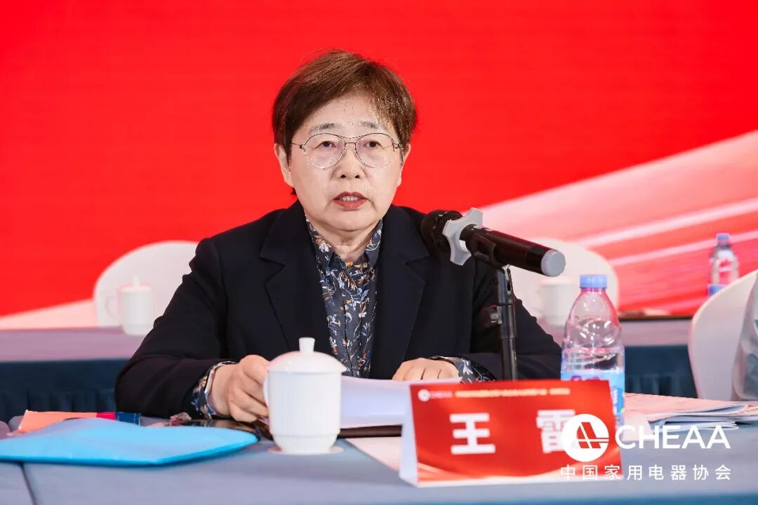 中国家用电器协会理事长王雷在第八次会员大会上的讲话图2