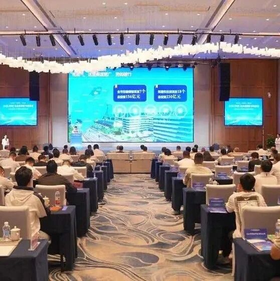 【“圈”聚四川 “链”动未来】百企“链”上找配套 乐山高新区抢滩新型储能新赛道