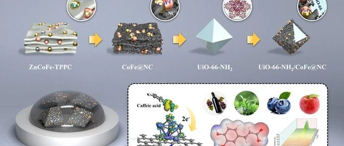 ACS Sens: 基于双金属 d 带工程调控电子结构，构建面向食品中咖啡酸的超灵敏传感平台