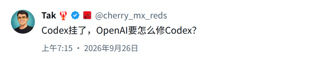OpenAI黑色星期五！Codex全面宕机，硅谷码农提前「过节」图13
