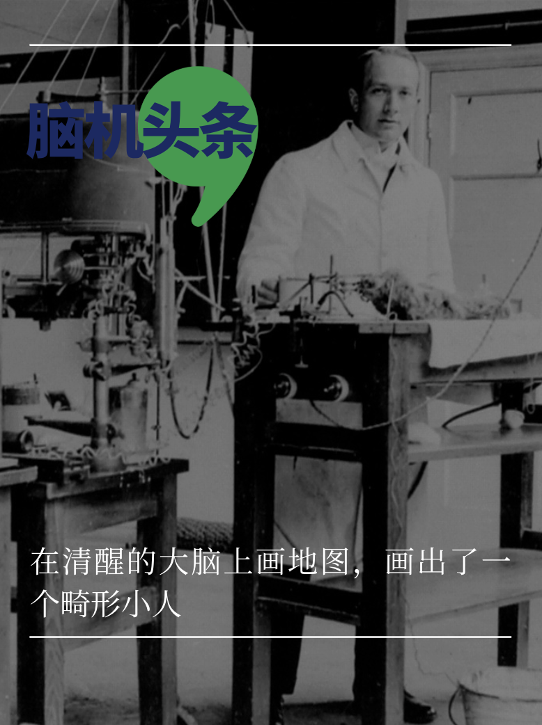 在清醒的大脑上画地图，画出了一个畸形小人｜脑机小史图1