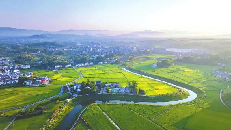 【工业强县 向“新”而行】达州市达川区:发挥主城极核新优势 描绘共富善治新蓝图图6