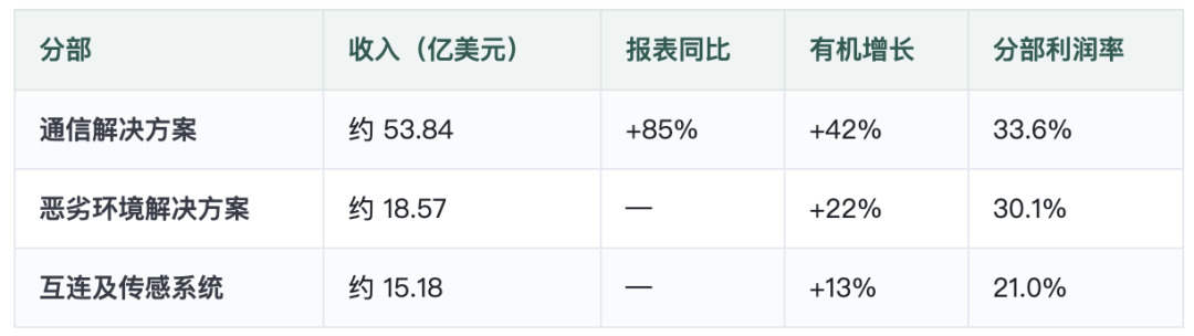 AI带飞安费诺，收入暴涨55%，连接器公司被数据中心拉高图5