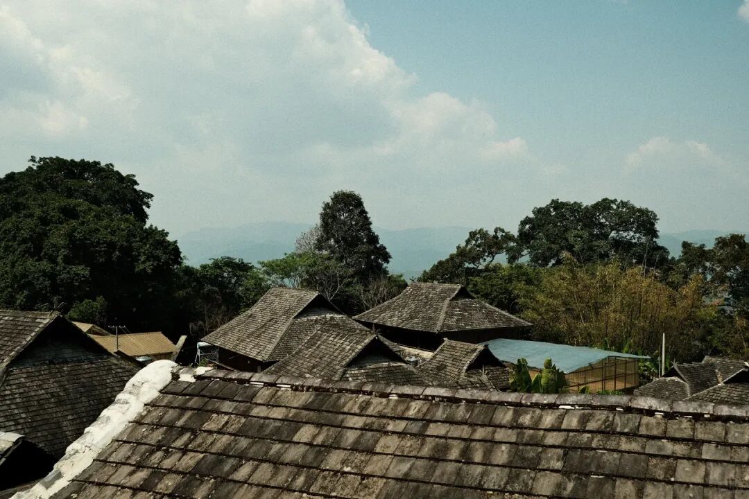 从景迈山到虹桥｜当AI遇见千年茶林，让她的力量在虹桥国际科技周被看见图15