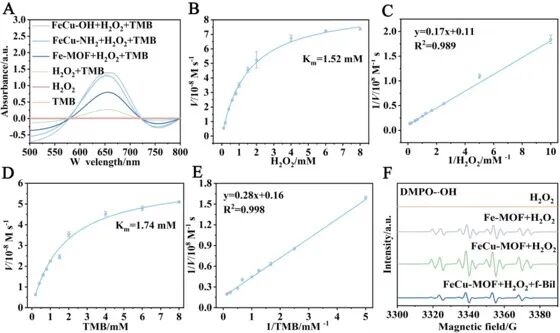 Anal Chem:羟基化双金属MOF双模式生物传感器:用于游离胆红素快速筛查与精确定量检测的平台图7