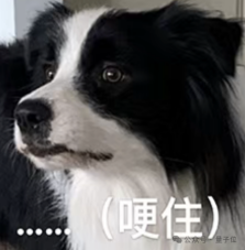 清华具身模型登顶全球第一!突围GPT-6、英伟达,不靠外挂和额外数据图3