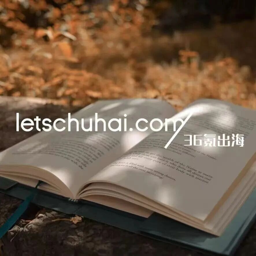比特幻境完成数亿元天使轮融资；智元机器人上半年出货量超8600台｜36氪出海·要闻回顾