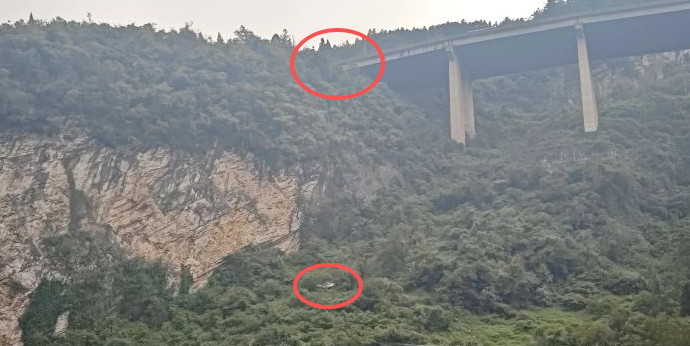 新能源轿车坠百米悬崖车主奇迹生还！车企回应图1