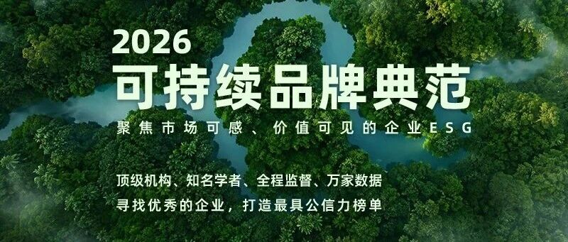 都想用AI赚钱，但哪些公司既善用AI，又在为人类兜底？