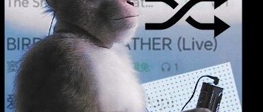 随机播放老是那几首歌，难道它们真给平台充钱了？