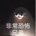 比亚迪刚发布这 1000km+ 纯电新车,配置价格又炸翻全场了!图6